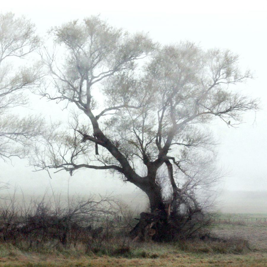 "Invernal" de Eli - Elisabet Ferrari