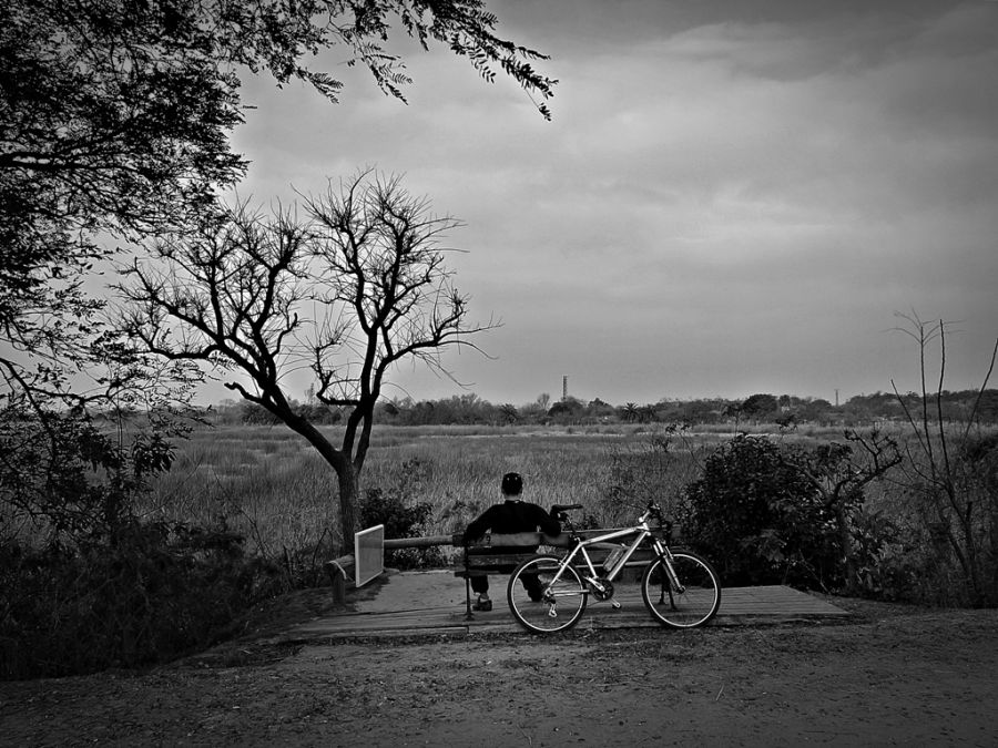 "Esos momentos de soledad" de Alberto Elizalde