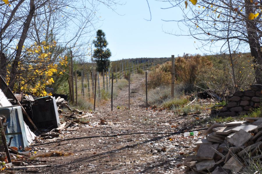 "SENDERO" de Jose Alberto Vicente