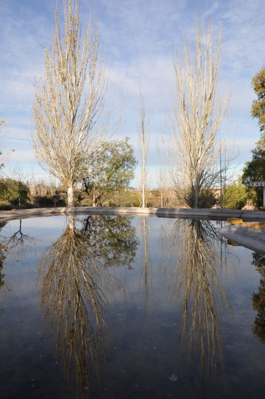 "REFLEJANDO EL PAISAJE" de Jose Alberto Vicente