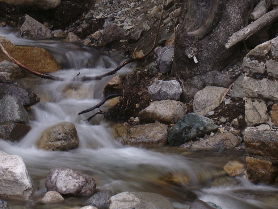 "Arroyo Lopez . Bariloche" de Gaston E. Polese