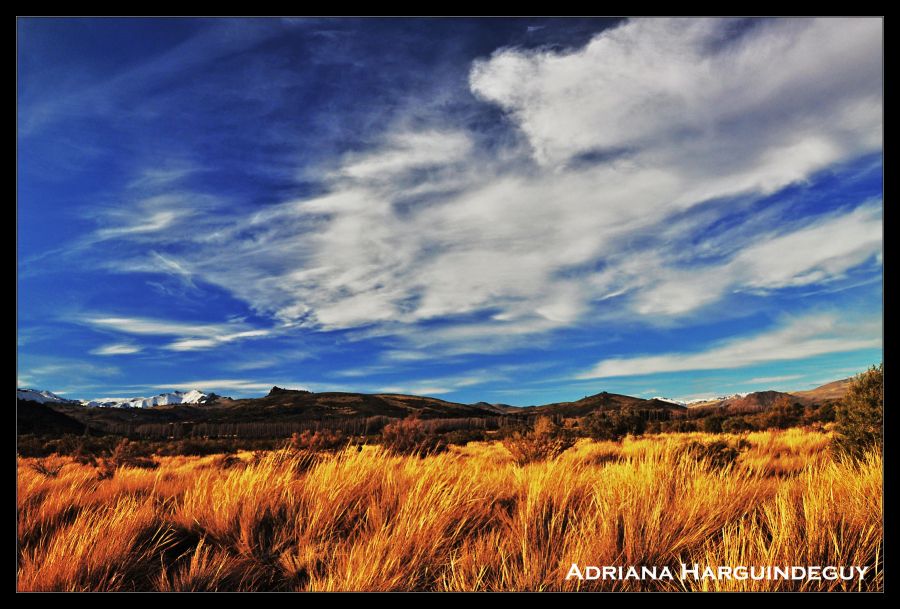 "Patagonia" de Adriana Harguindeguy