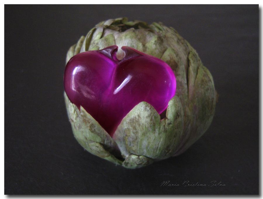 "Corazn coraza" de Maria Cristina Silva