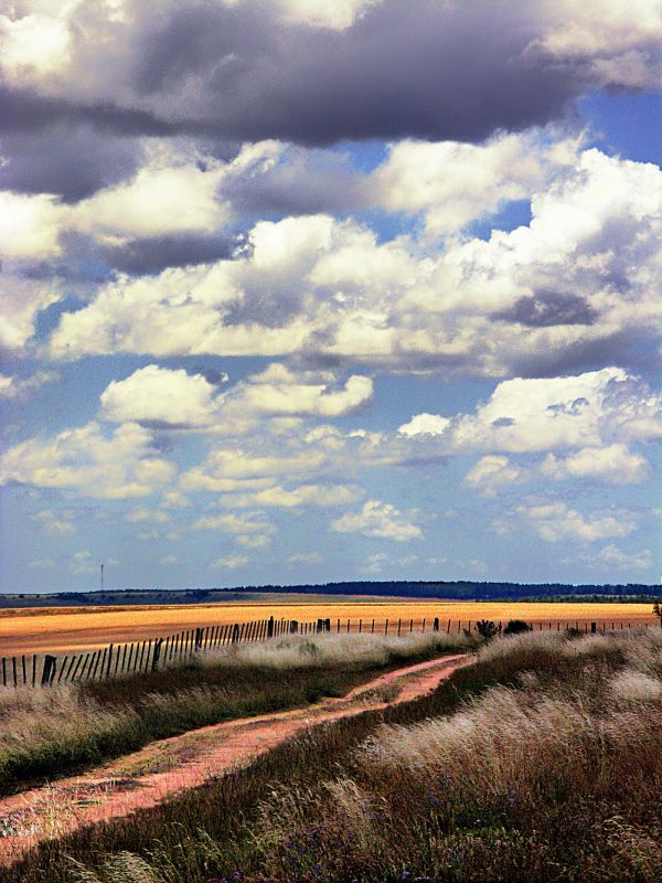 "Caminito" de Arturo Rey