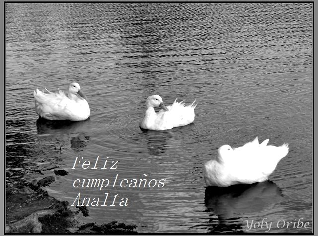 "Simplemente patos" de Yolanda Isabel Oribe