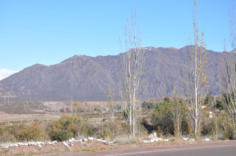 "paisaje cordillerano" de Jose Alberto Vicente