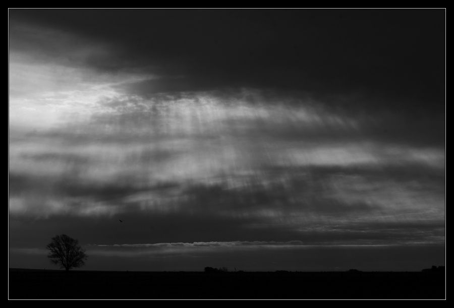 "Otro atardecer en el campo" de Seba Japas