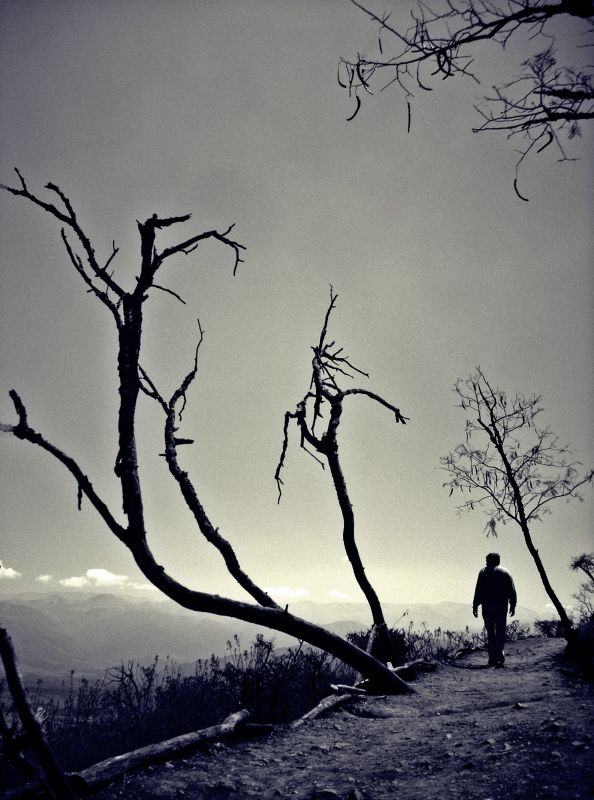 "Caminante no hay camino" de Luciano Nardone