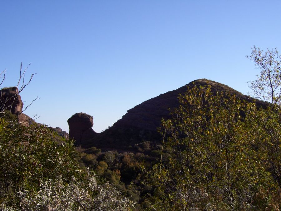 "El camello del Valle de Punilla" de Cecilia Maldonado