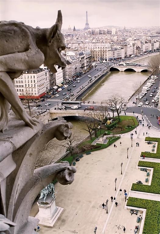 "Paris desde Notre Dame" de Mario Abad