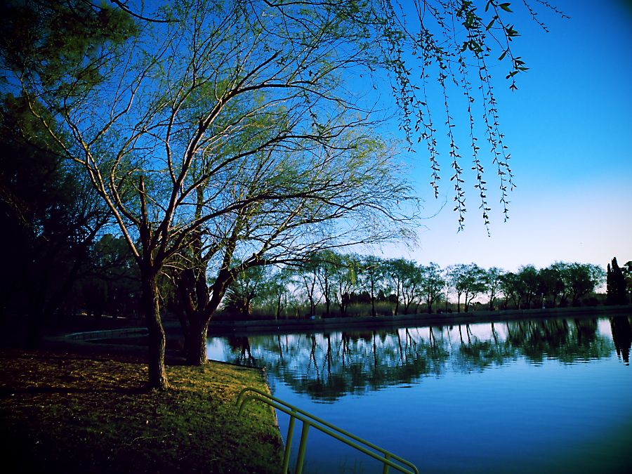 "el lago" de Daniel Aciar