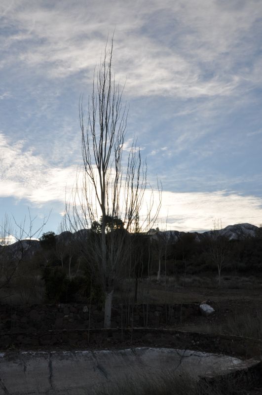 "ATARDECIENDO EN EL PUESTO" de Jose Alberto Vicente