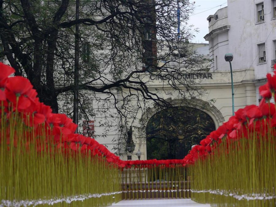 "Amapolas........fiiiiirmes!!!" de Mario Abad