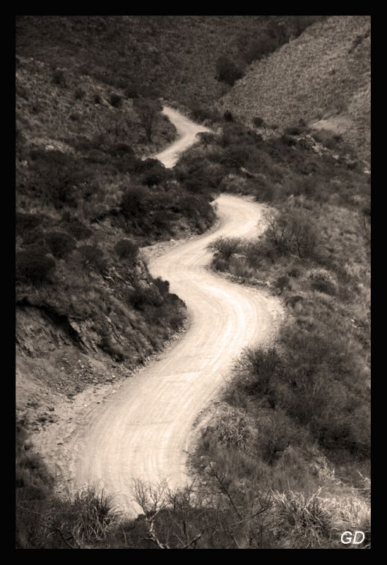 "camino de sierra" de Gabriela Domato