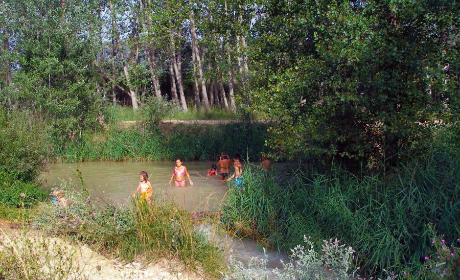 "el rio de la vida" de Vicente Cervera Santos