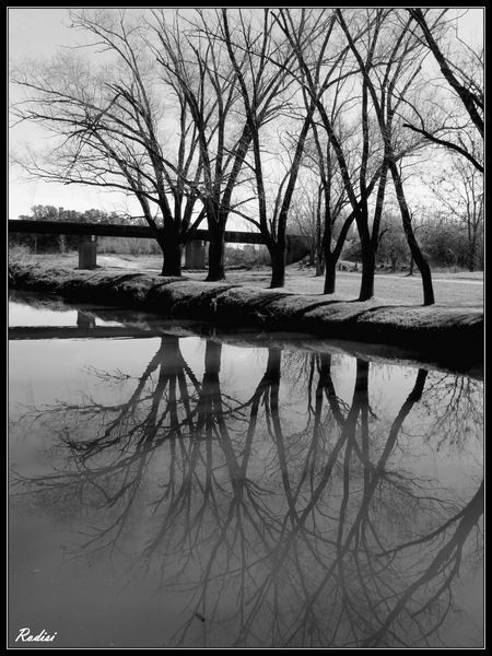 "Reflejos en el ro Lujan..." de Roberto Di Siervi