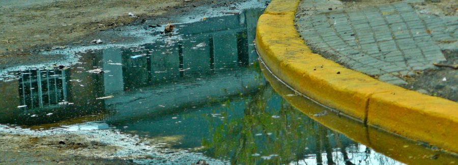 "Mirando el charco" de Nora Lilian Iturbide ( Noral )