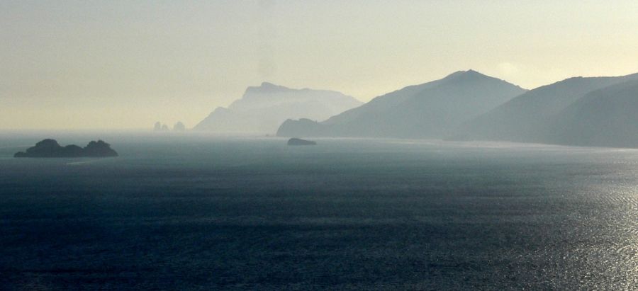 "en la niebla" de Alejandra Ruiz de Mendarozqueta