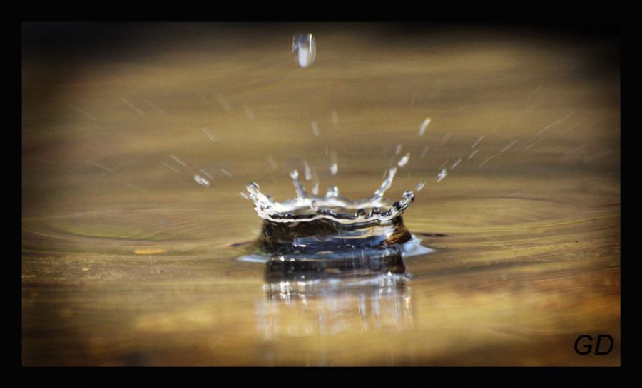 "gota" de Gabriela Domato