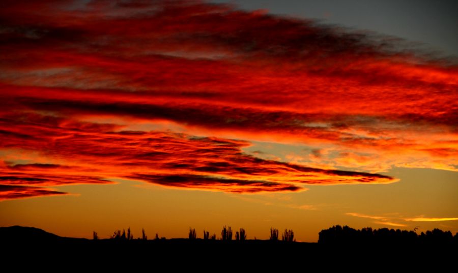 "Atardecer en Mendoza" de David Eduardo Montemurri