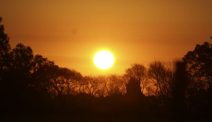 "Atardecer del Sbado en Cardales" de Ricardo Alfredo Borthwick