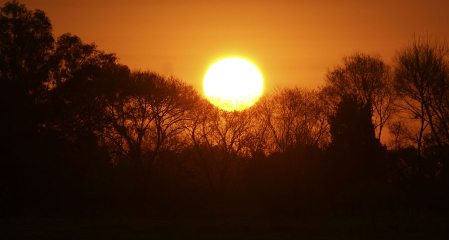 "Atardecer del Sbado en Cardales II" de Ricardo Alfredo Borthwick