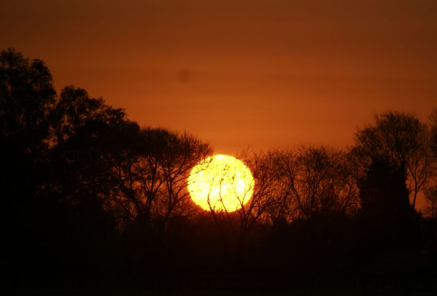 "Atardecer del Sbado en Cardales III" de Ricardo Alfredo Borthwick