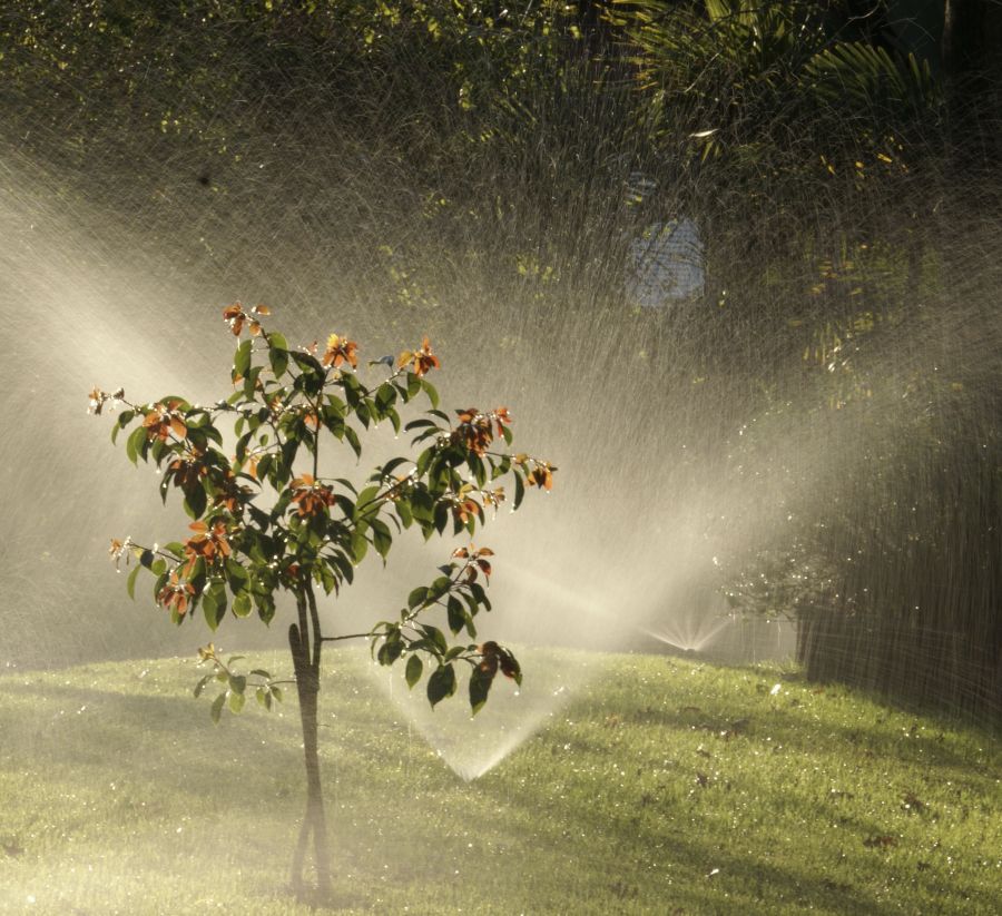 "Refrescndola" de Ricardo Alfredo Borthwick