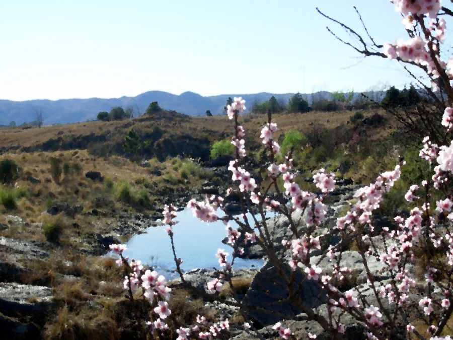 "Primavera en las sierras" de Jorge Berterretch