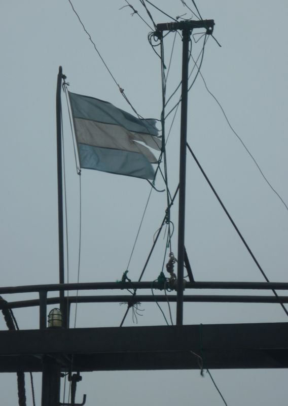 "la bandera" de Carlos Alberto Novo