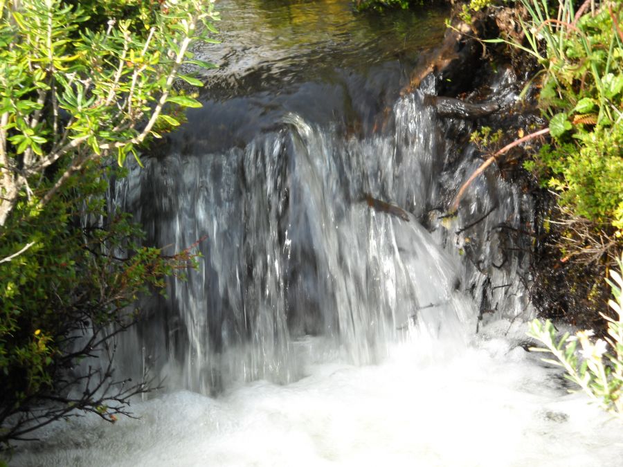 "la cascada" de Dante Escudero