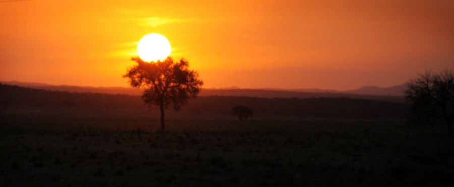 "Atardecer" de Gabriela Domato