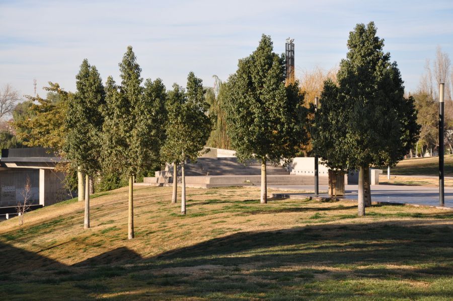 "PARQUE CENTRAL MENDOZA" de Jose Alberto Vicente