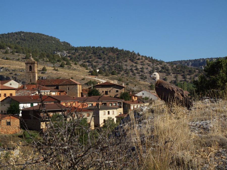 "Buitre" de Juan Carlos Calvo