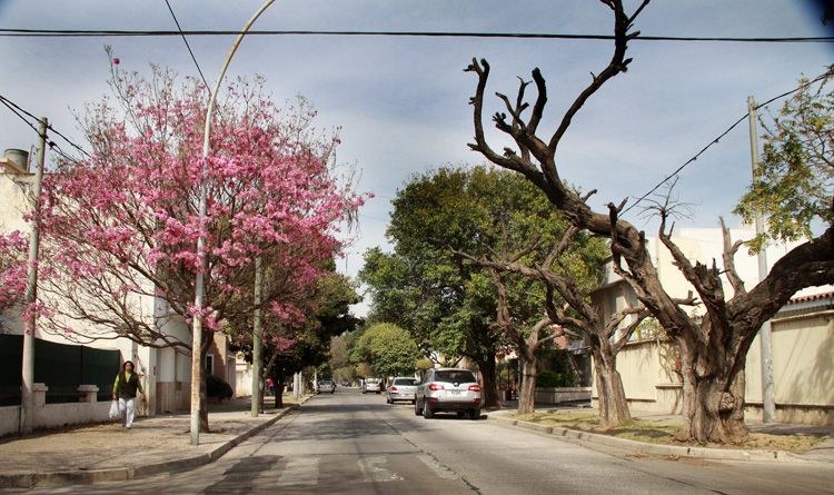 "calles de Cordoba" de Gabriela Domato