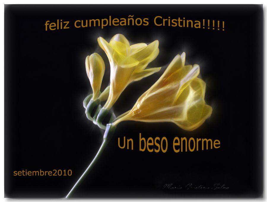 "Feliz cumple!!!!! Cristina Wnetrzak" de Maria Cristina Silva