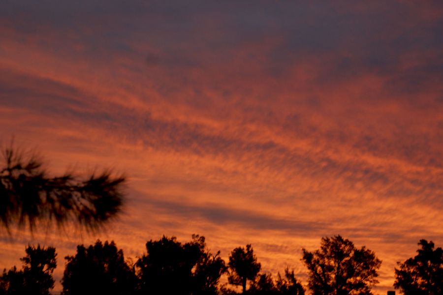 "Ocaso primaveral cardalense" de Ricardo Alfredo Borthwick