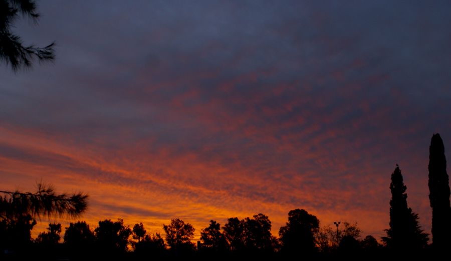 "Ocaso primaveral cardalense II" de Ricardo Alfredo Borthwick