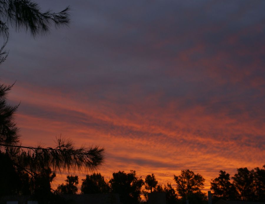 "Ocaso primaveral cardalense III" de Ricardo Alfredo Borthwick