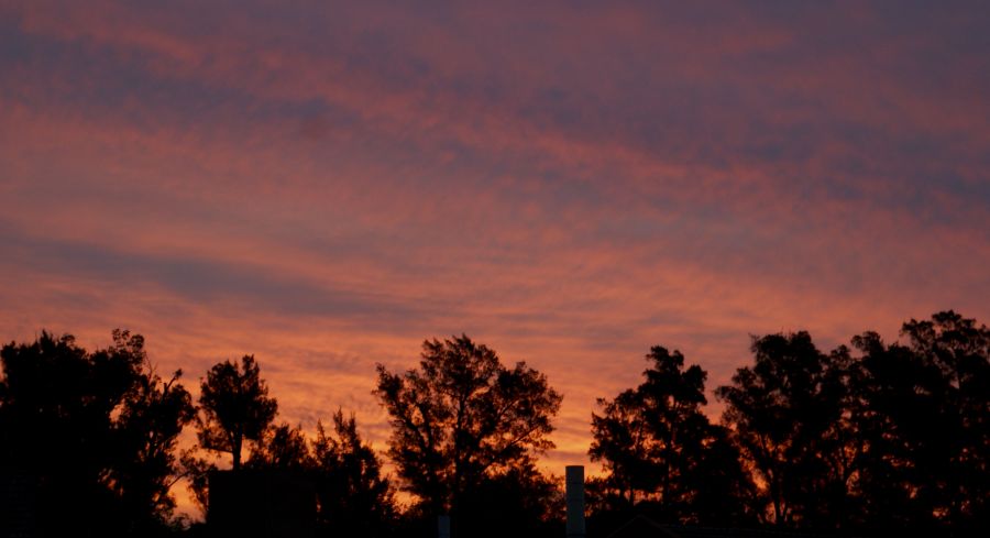 "Ocaso primaveral cardalense IV" de Ricardo Alfredo Borthwick