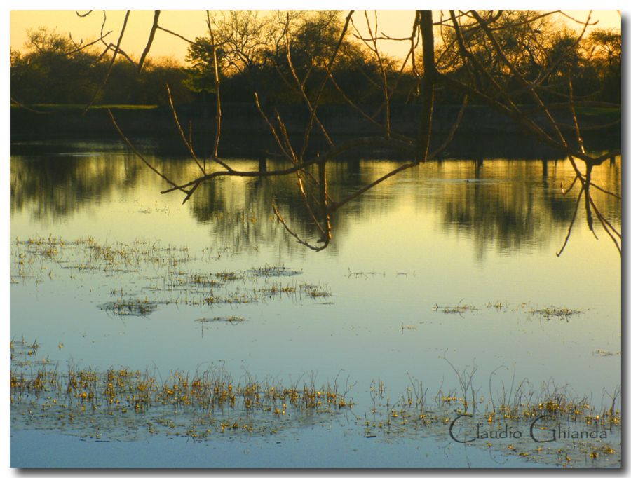 "El lago de Don Justo" de Claudio Ghianda