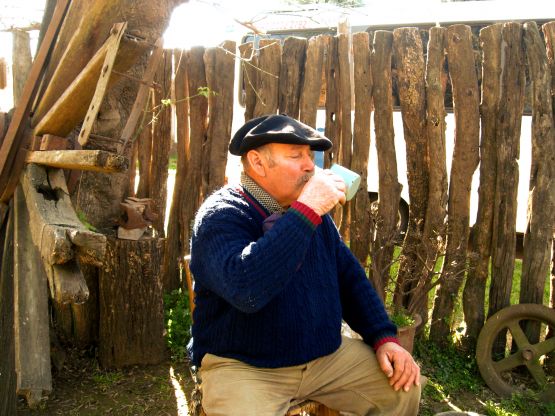 "`El mate cocido de la tarde`" de Ethel Panciroli