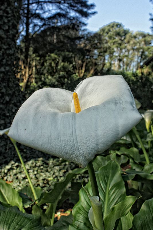 "el entorno" de Stella Maris Kippke