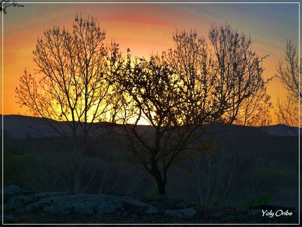 "Puesta de sol serrana" de Yolanda Isabel Oribe