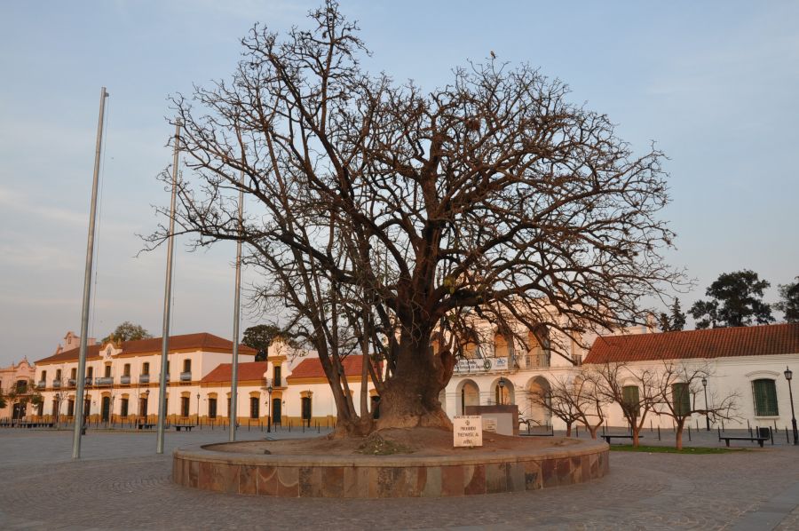 "`PLAZA MAYOR`" de Jose Alberto Vicente