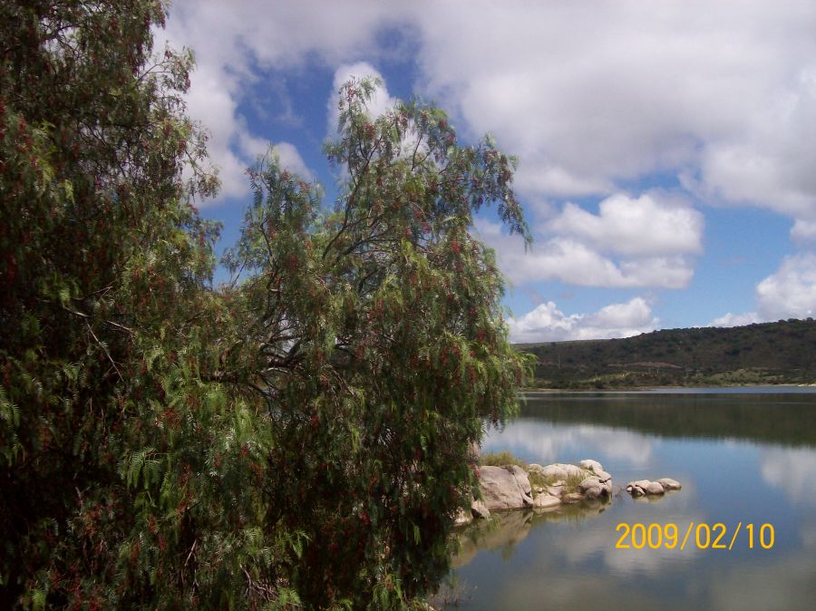 "Lago, cielo, paz" de Ana Julia Chevez De Centioni