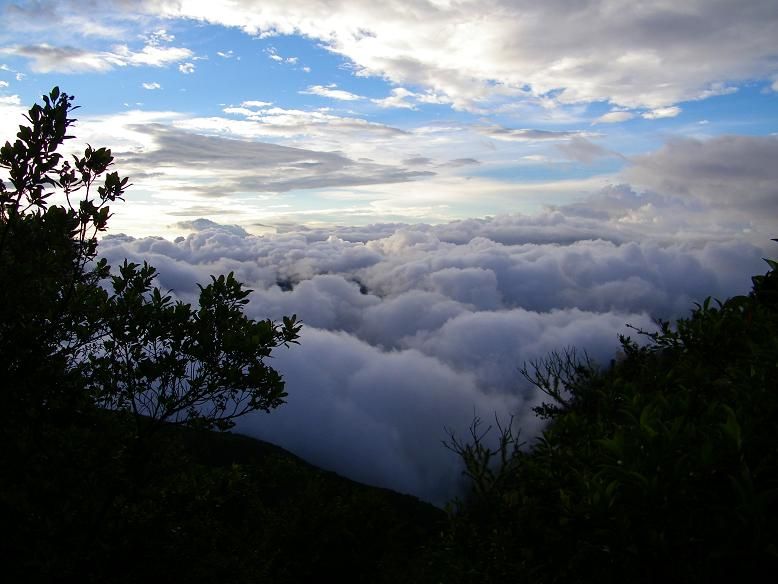 "Caminando por las nubes" de Piero Francesa