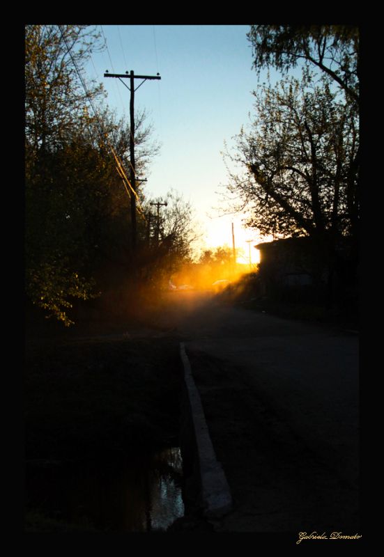 "sol de tarde" de Gabriela Domato