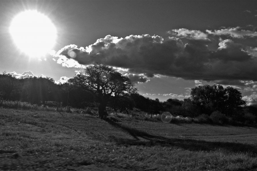 "De luces y sombras" de Solis Alba Iris