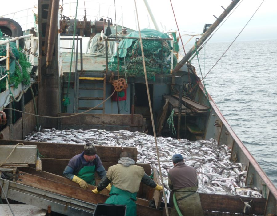 "pesca" de Carlos Alberto Novo